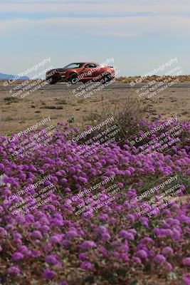 media/Jan-08-2023-SCCA SD (Sun) [[8f6a5b9391]]/Advanced Group/Session 2 (Short Straight)/